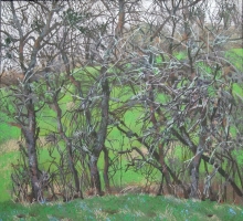 Spring - tempera, panel 