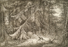 Wood Path - ink, paper