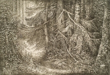 Woodland - ink, paper