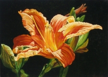 The Fairy Of The Night - oil, canvas