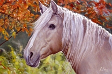The Beauty - oil, canvas