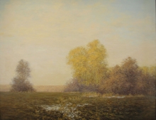 Light Of Spring - oil, canvas