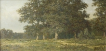 Oak Trees - oil, canvas