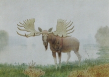 Forest Giant - watercolors, paper
