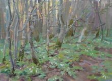 Evening In The Forest - oil, canvas