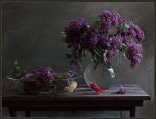 Still Life With Lilac - oil, canvas