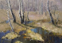 Birch Trees - oil, canvas